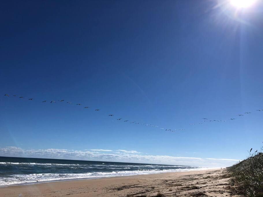 Zen Beach Retreat - Ocean View Townhouse -No Drive Beach New Smyrna Beach Luaran gambar