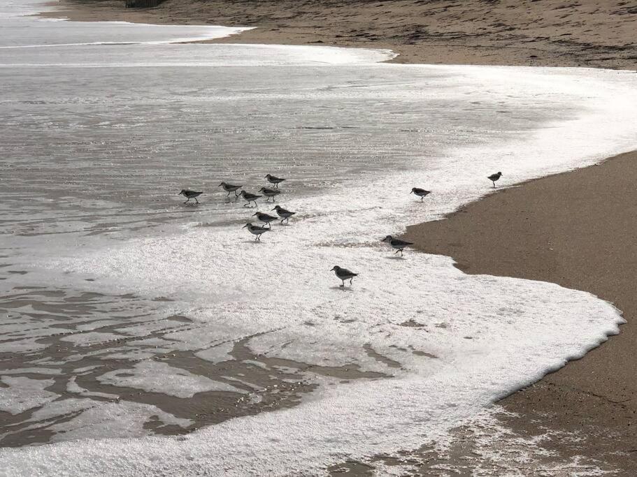 Zen Beach Retreat - Ocean View Townhouse -No Drive Beach New Smyrna Beach Luaran gambar