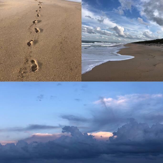 Zen Beach Retreat - Ocean View Townhouse -No Drive Beach New Smyrna Beach Luaran gambar
